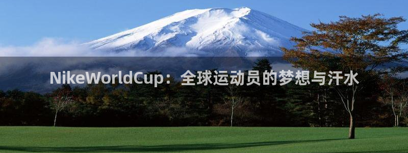世界杯 赛程：NikeWorldCup：全球运动员的梦想与汗水