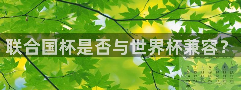 世界杯女足直播：联合国杯是否与世界杯兼容？
