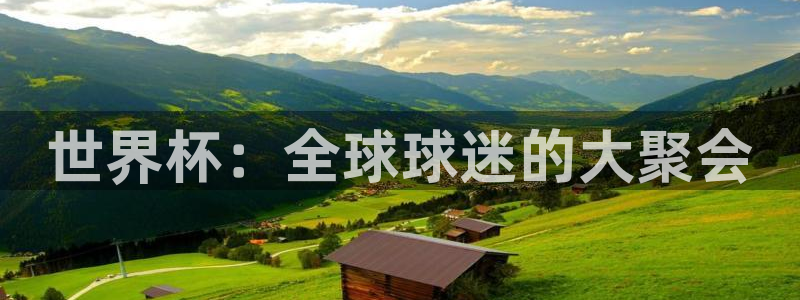 2026世界杯直播免费观看：世界杯：全球球迷的大聚会