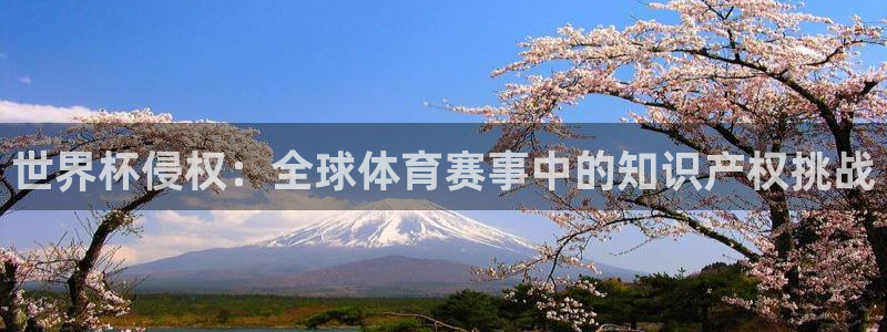 亚洲杯比赛直播：世界杯侵权：全球体育赛事中的知识产权挑战