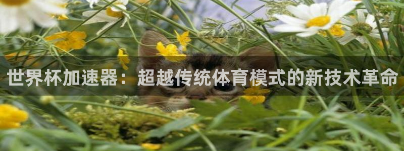 看世界杯：世界杯加速器：超越传统体育模式的新技术革命