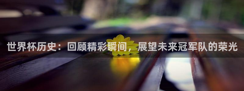 世界杯：世界杯历史：回顾精彩瞬间，展望未来冠军队的荣光