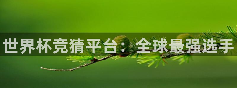 世界杯 中国：世界杯竞猜平台：全球最强选手