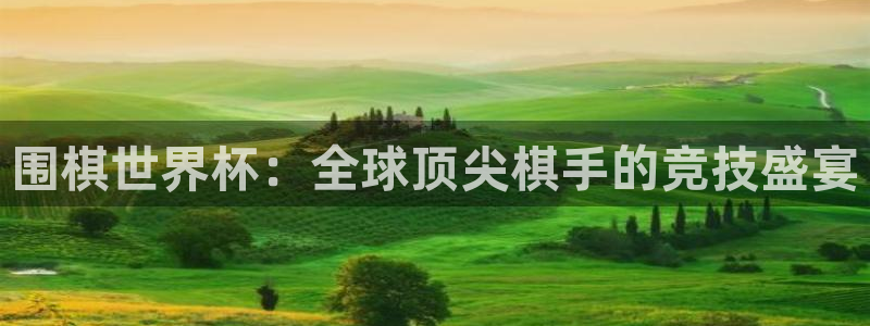 世界杯欧洲预选赛：围棋世界杯：全球顶尖棋手的竞技盛宴