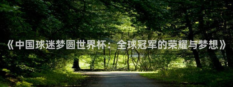 世界杯足球赛2026：《中国球迷梦圆世界杯：全球冠军的荣耀与梦想》