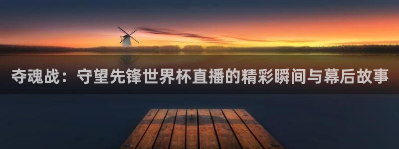 世界杯预选赛直播：夺魂战：守望先锋世界杯直播的精彩瞬间与幕后故事