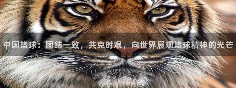 世界杯亚洲区预选赛：中国篮球：团结一致，共克时艰，向世界展现篮球精神的光芒