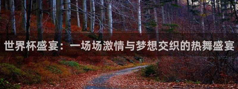 世界杯预选赛赛程时间表：世界杯盛宴：一场场激情与梦想交织的热舞盛宴