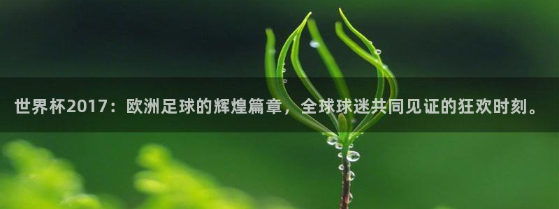 2026年男足世界杯：世界杯2017：欧洲足球的辉煌篇章，全球球迷共同见证的狂欢时刻。