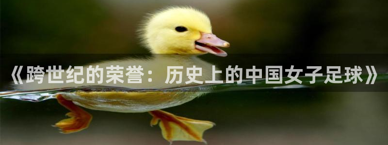 2026足球世界杯赛程：《跨世纪的荣誉：历史上的中国女子足球》