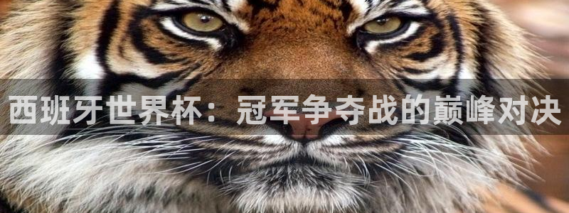 26世界杯：西班牙世界杯：冠军争夺战的巅峰对决
