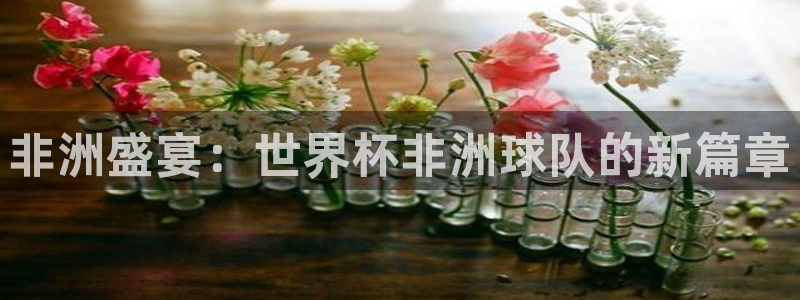 世界杯2026比赛时间表：非洲盛宴：世界杯非洲球队的新篇章
