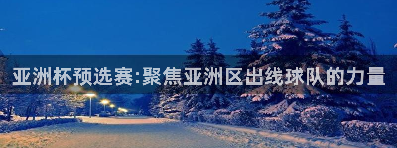 欧联杯直播：亚洲杯预选赛:聚焦亚洲区出线球队的力量