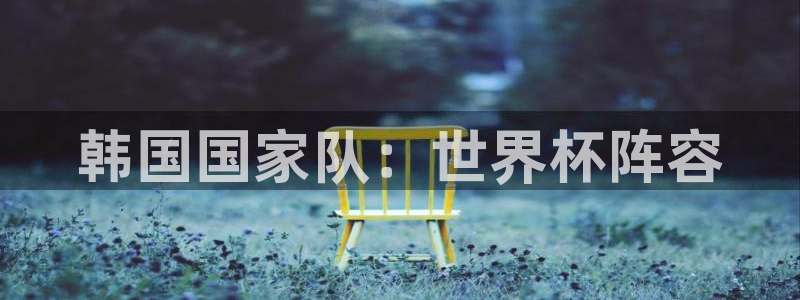 世界杯预选赛：韩国国家队：世界杯阵容