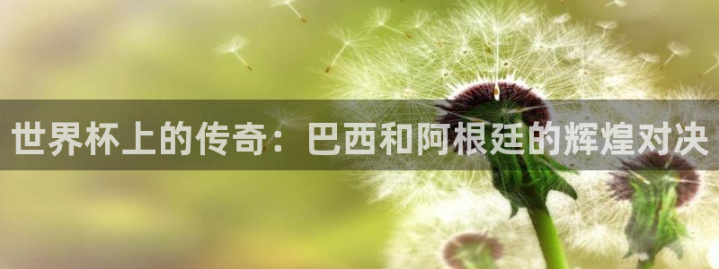 世界杯欧洲区预选赛赛程：世界杯上的传奇：巴西和阿根廷的辉煌对决